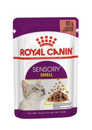Sensory Smell (in gravy)